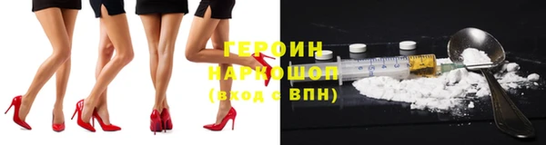 гашик Данков
