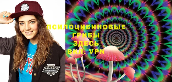 шишки Верея